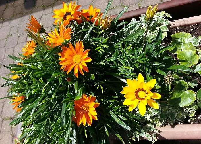 Ξενοδοχείο Carla